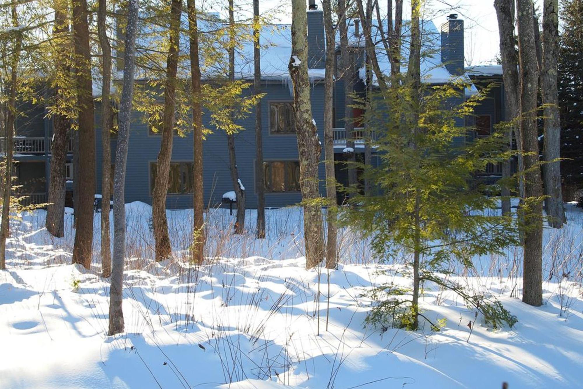 Wintergreen Condos Thompsonville Oda fotoğraf
